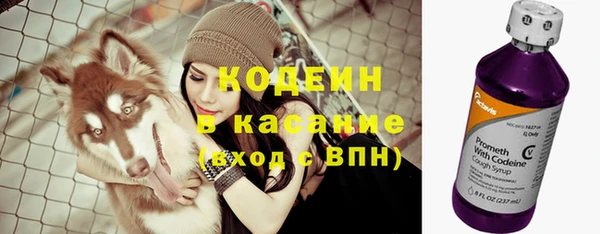 гашик Козельск