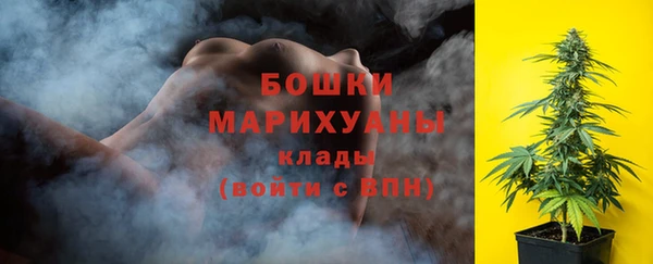 дживик Костерёво
