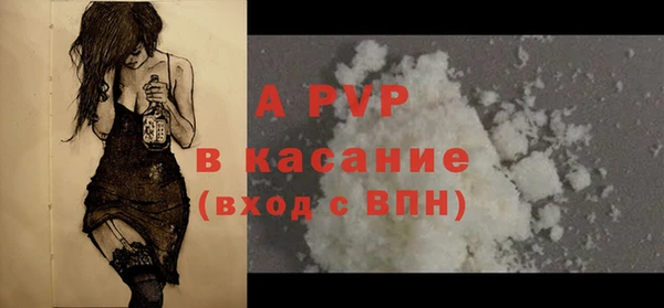 гашик Козельск