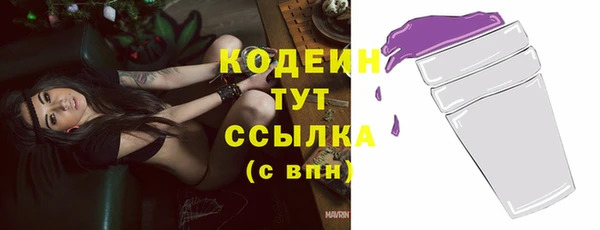 гашик Козельск