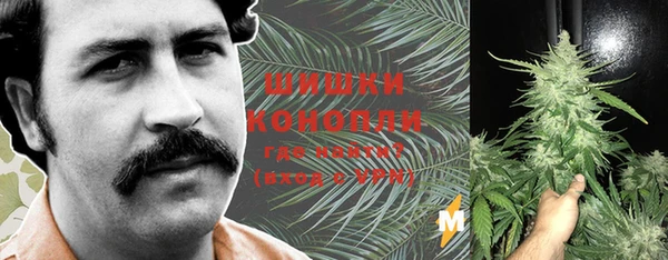 гашик Козельск