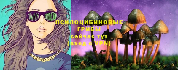 гашик Козельск