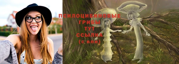молекула духа Корсаков