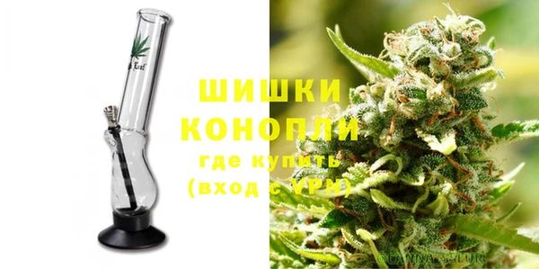 дживик Костерёво
