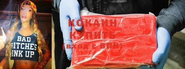 гашик Козельск