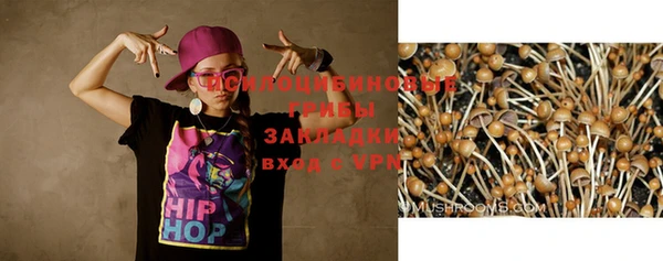 бошки Кодинск